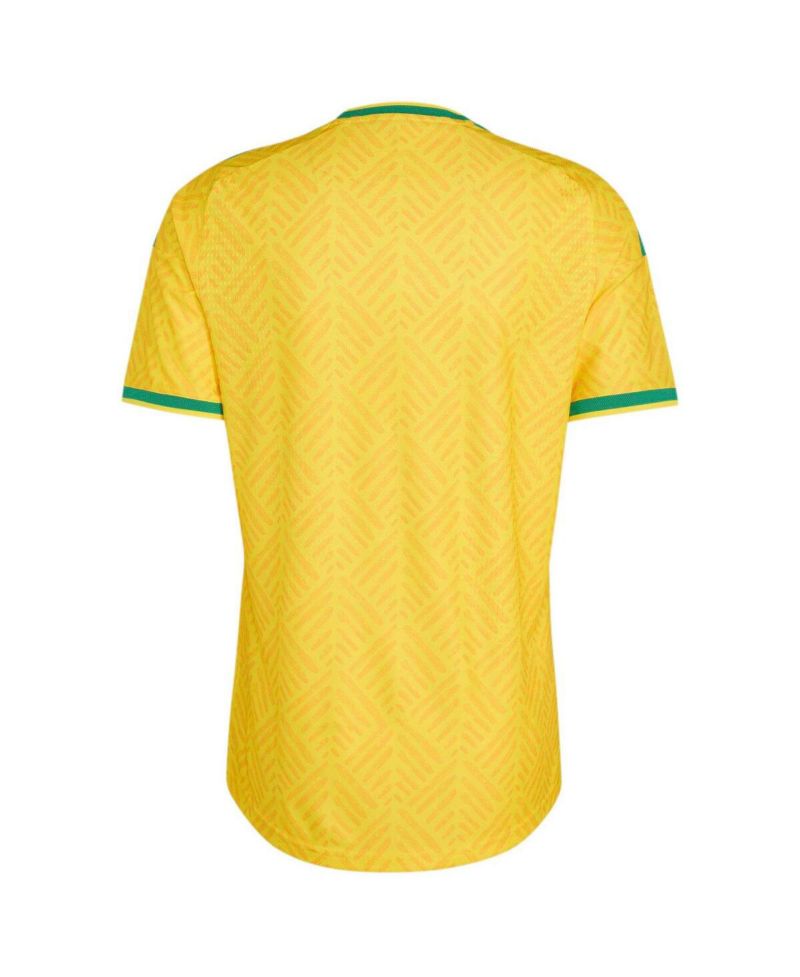 Men's Yellow South Africa National Team Home On-Field Authentic Jersey