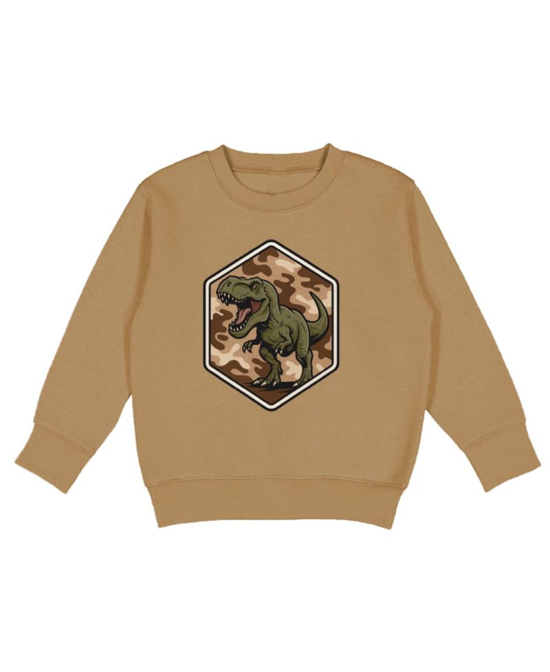 Little Boys Camo Rawr Sweatshirt