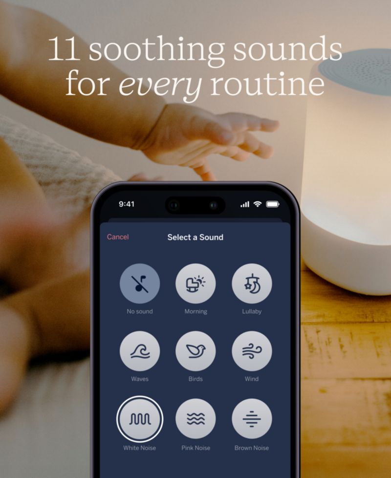 Sound + Light Machine