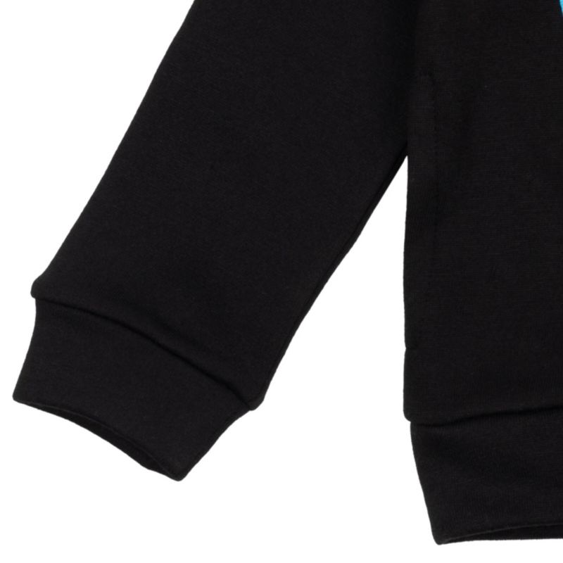 Boys Warner Bros. Fleece Pullover Hoodie