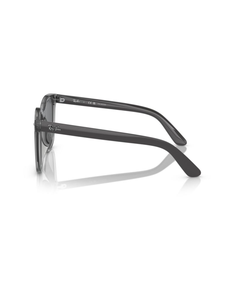 Polarized Square Sunglasses RB4401D