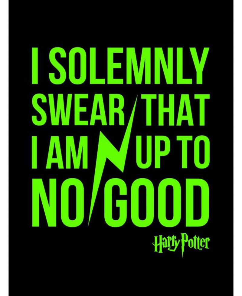 The Wizarding World of Boys Harry Potter I Solemnly Swear That I Am Up To No Good Black Long Sleeve Shirt