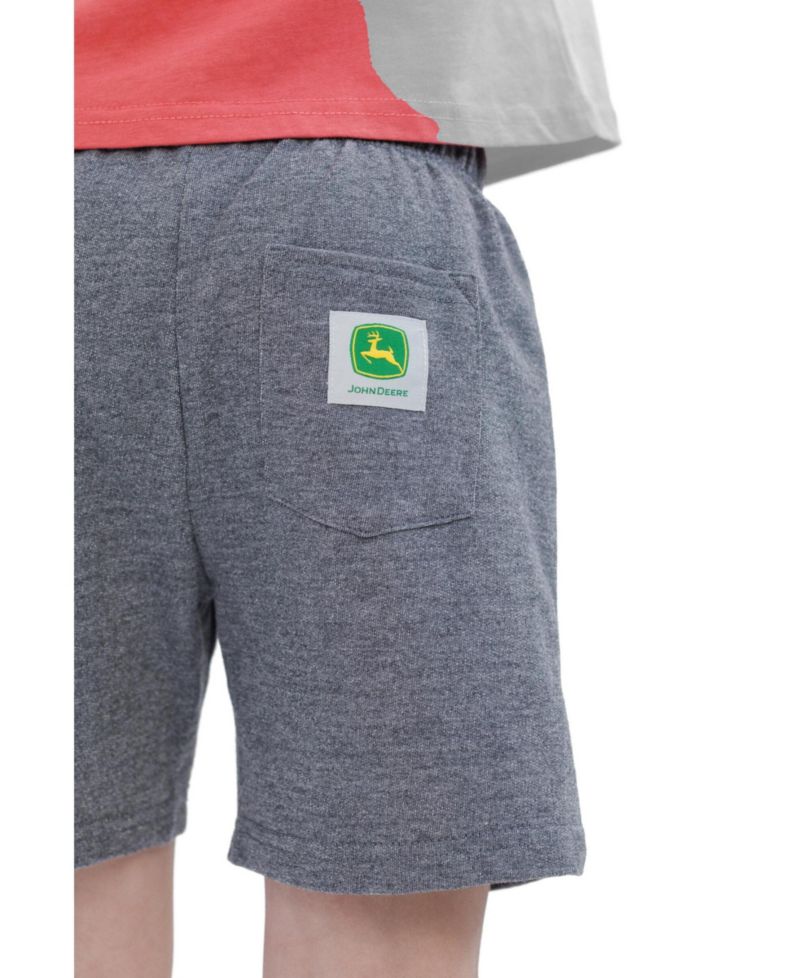 Little Boy's (5-8) 2-Piece T-Shirt and Shorts Set