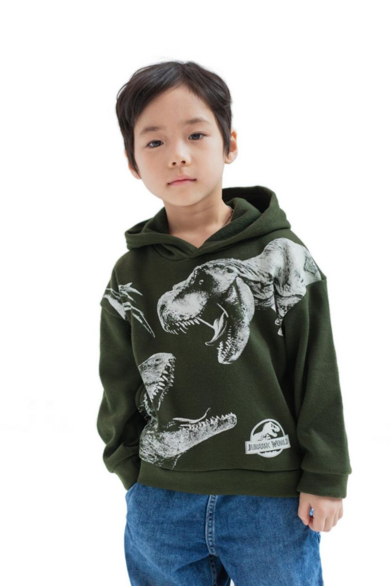Boys' Fleece Hoodie