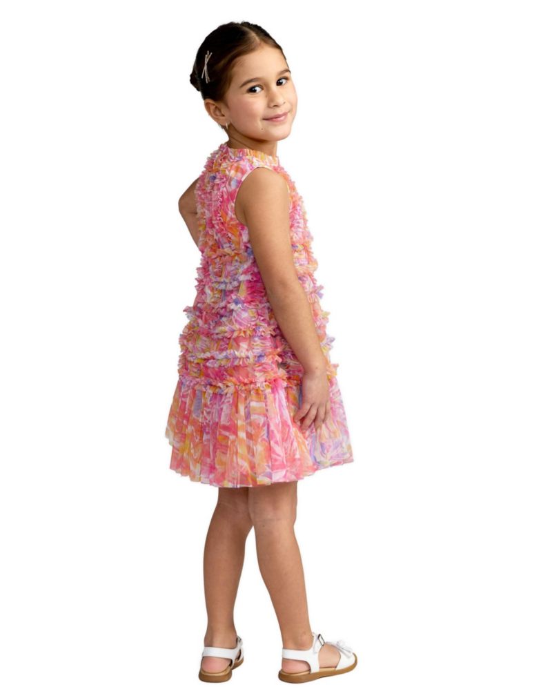 Little Girls Floral High Neck Sleeveless Ruffled Dress