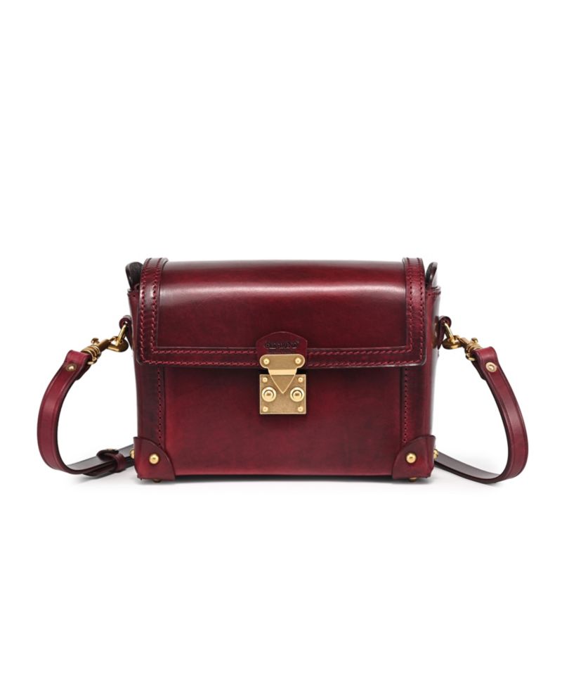 Azalea Vintage Case Crossbody Bag