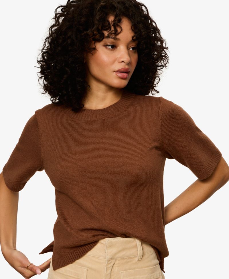 Petite Short-Sleeve Crewneck Sweater