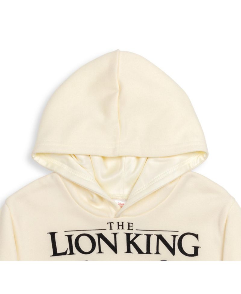 Toddler Boys 2T - 5T Fleece Hoodie and Pants Outfit Set