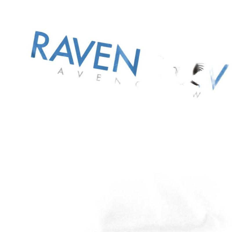 Men's Ravenclaw House Pride T Shirt