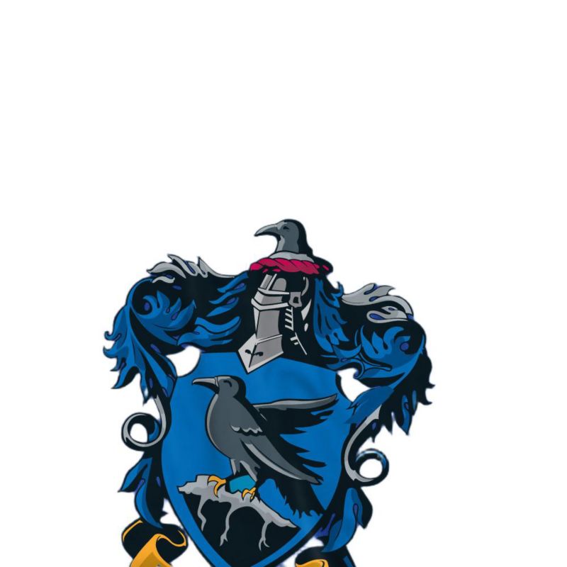 Men's Ravenclaw Birthday T Shirt