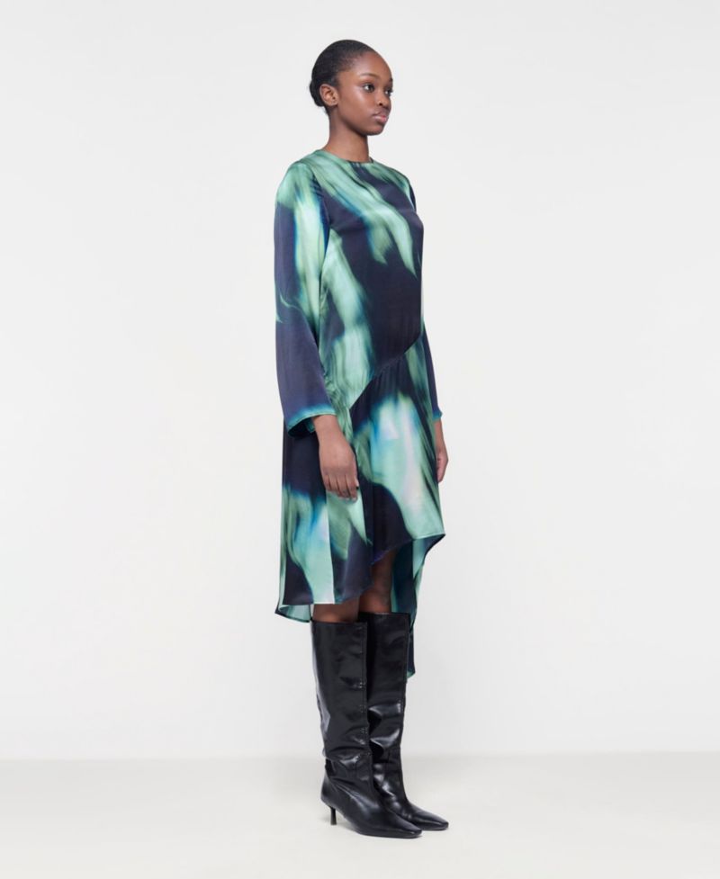 Women's Printed Paneled Dress