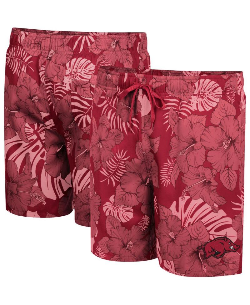 Men's Cardinal Arkansas Razorbacks The Dude Swim Shorts