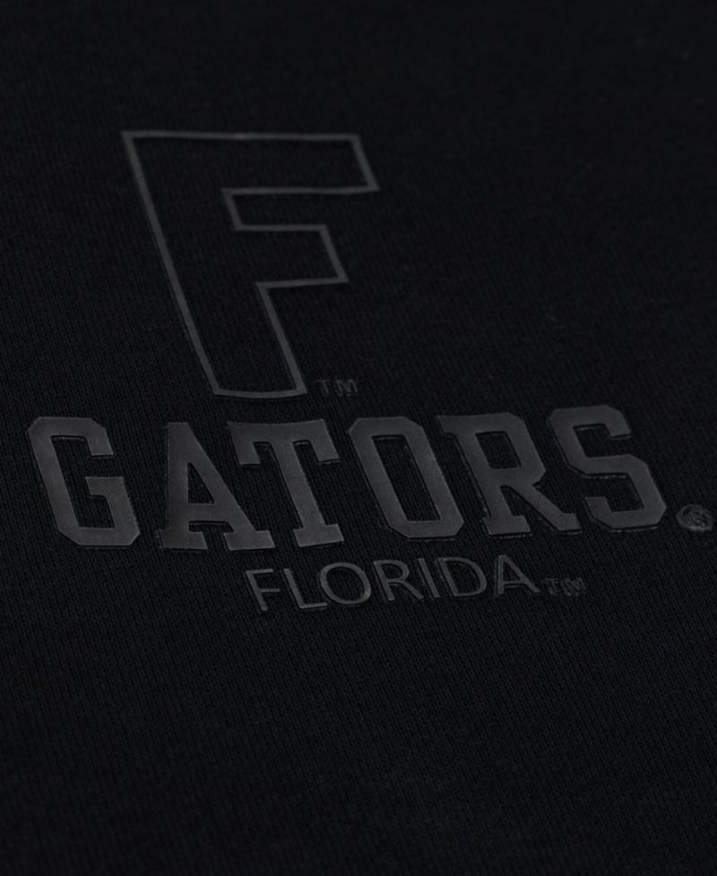 Men's Black Florida Gators Monochrome Icon Fleece Hoodie