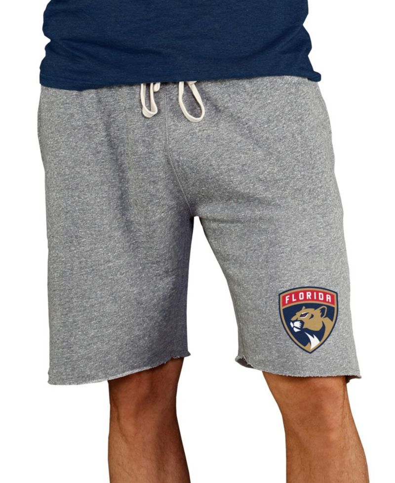 Men's Gray Florida Panthers Mainstream Terry Shorts
