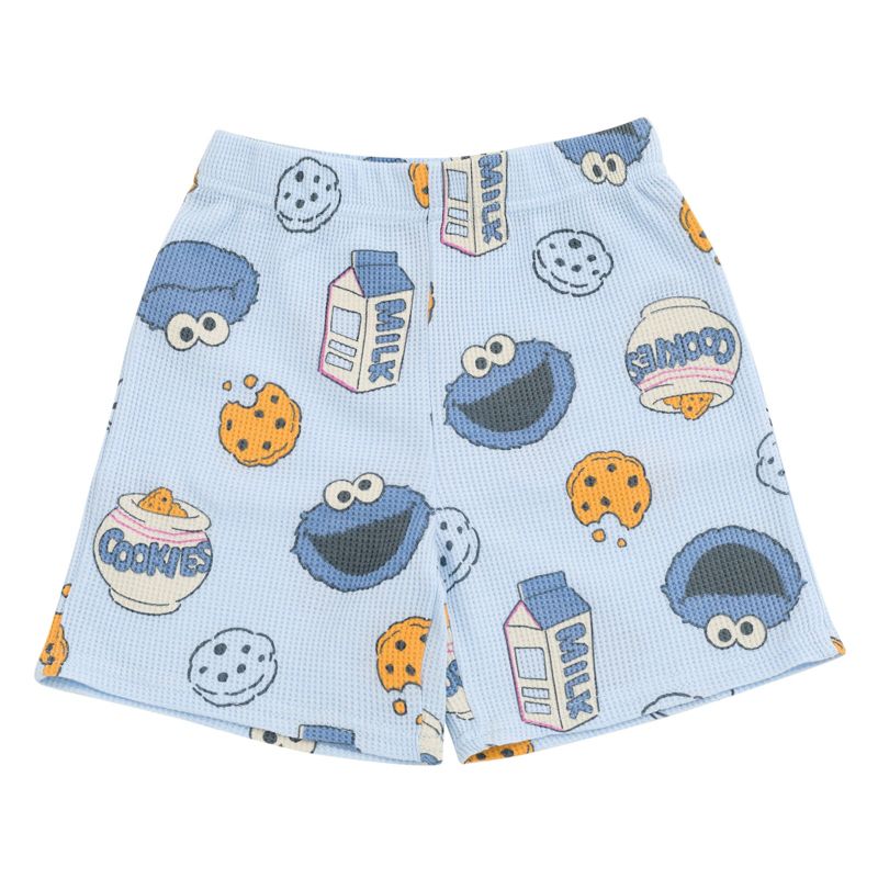 Little Boys Cookie Monster T-Shirt and Waffle Shorts Set