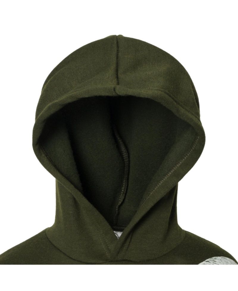 Toddler Boys Dinosaur T-Rex Fleece Pullover Hoodie to