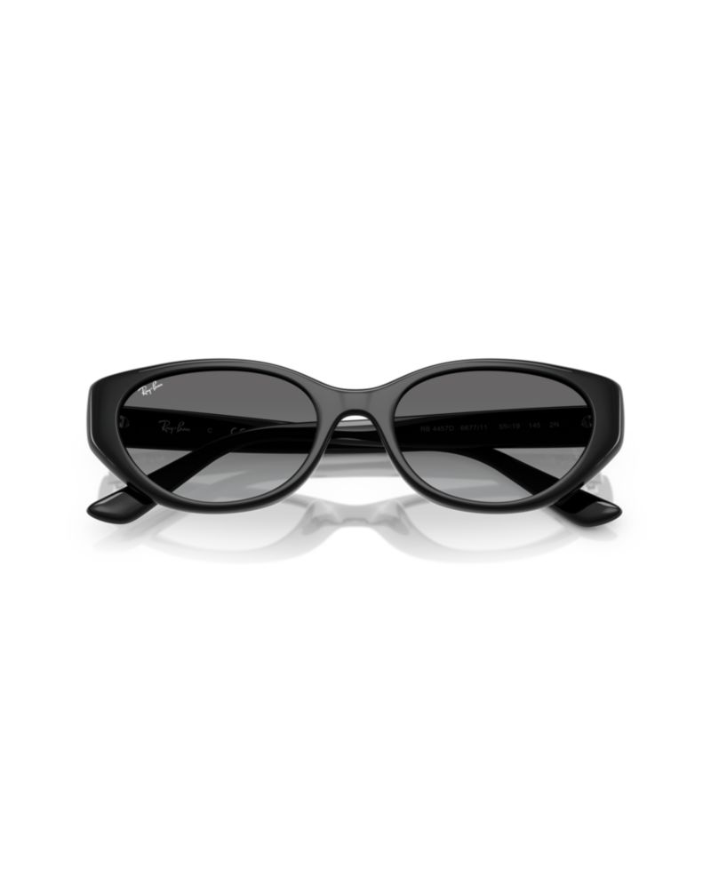 Unisex Large Sunglasses, RB4457D