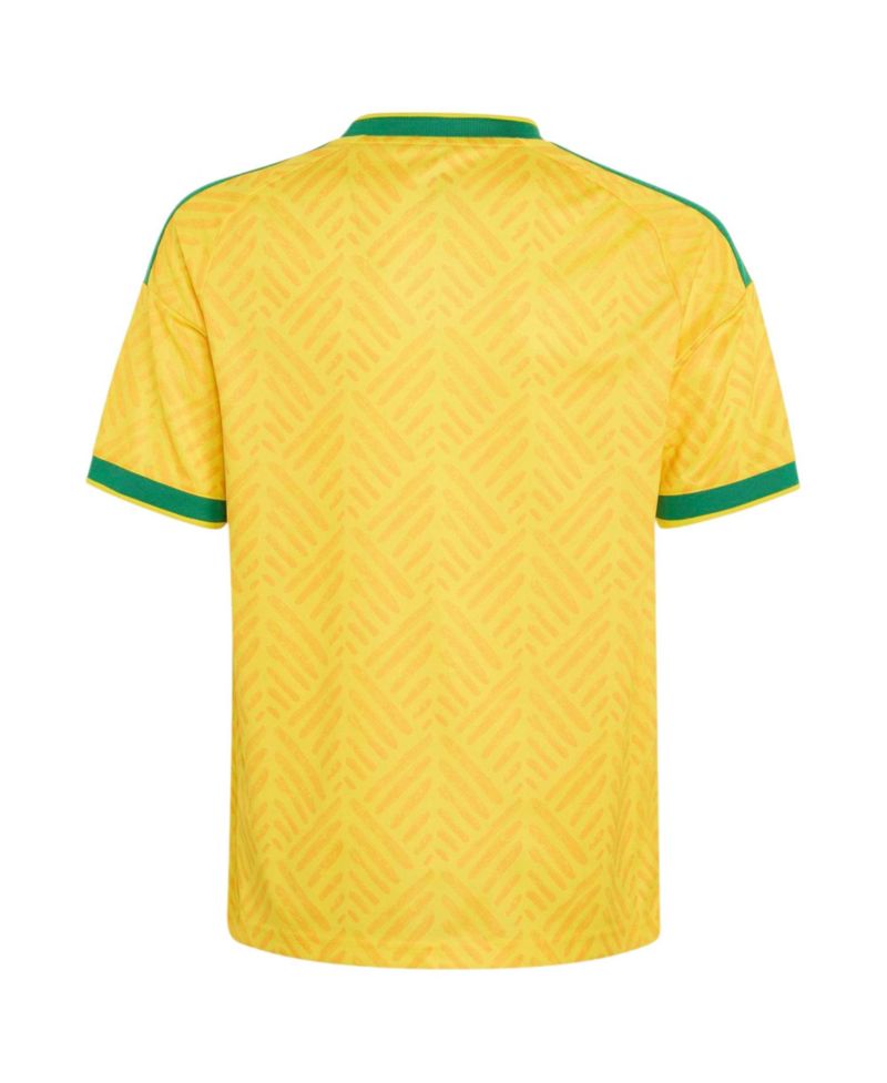Big Boys and Girls Yellow South Africa National Team 2026 Home Replica Jersey