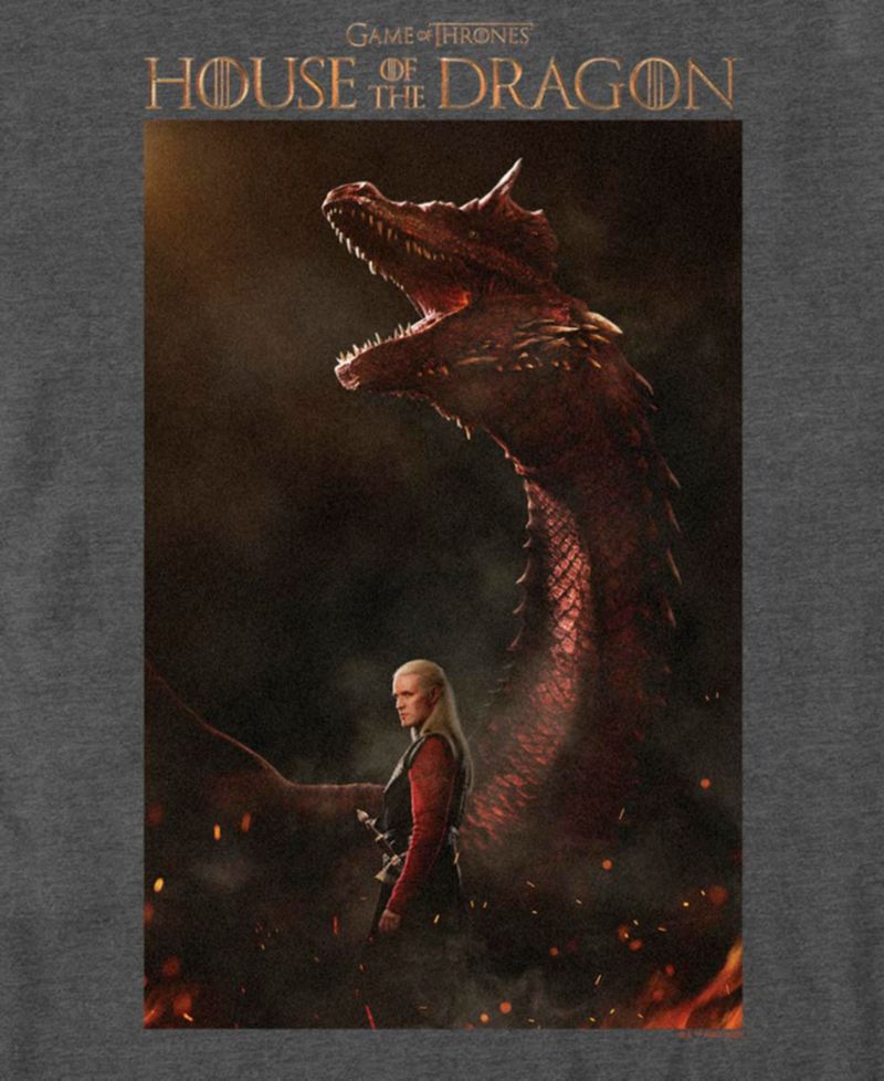 Men's House of the Dragon Daemon Poster Graphic T-Shirt
