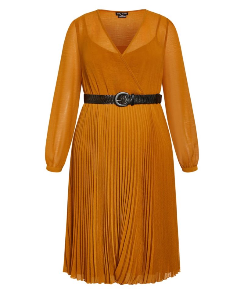 Plus Size Precious Pleat Dress
