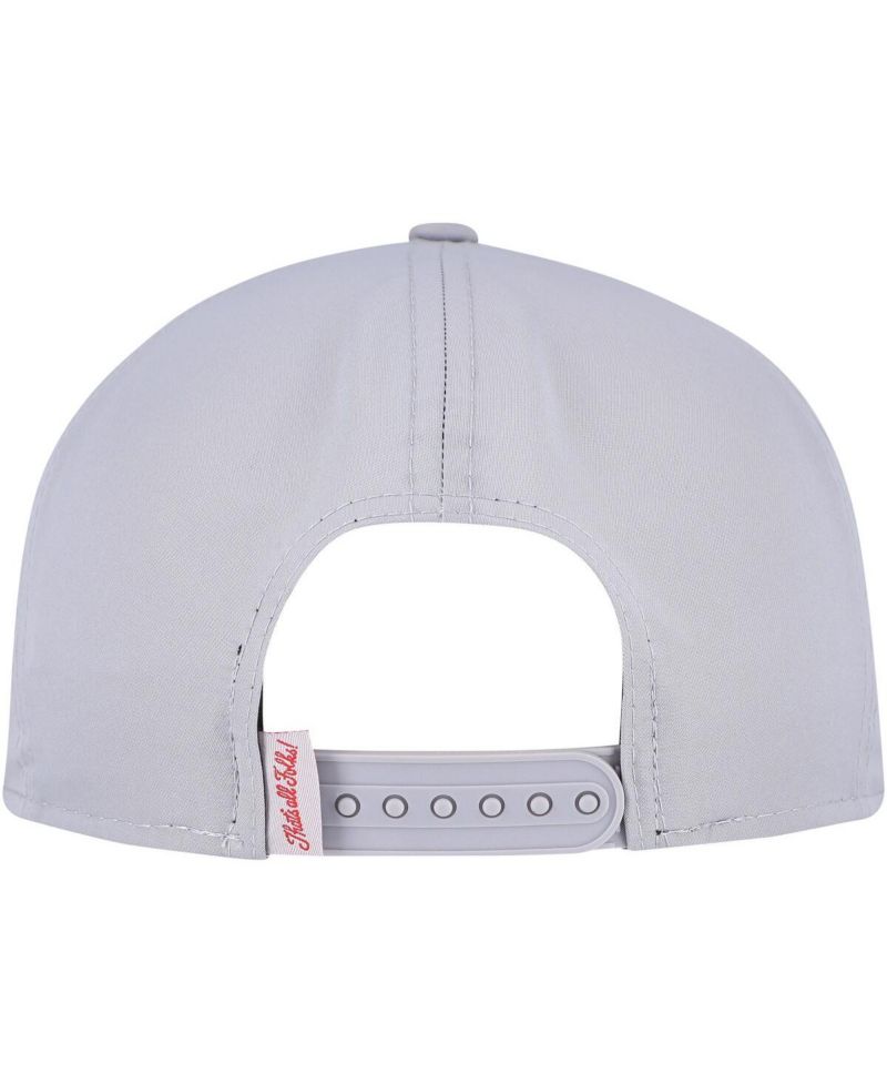Men's Gray Looney Tunes Vented 9FIFTY Snapback Hat