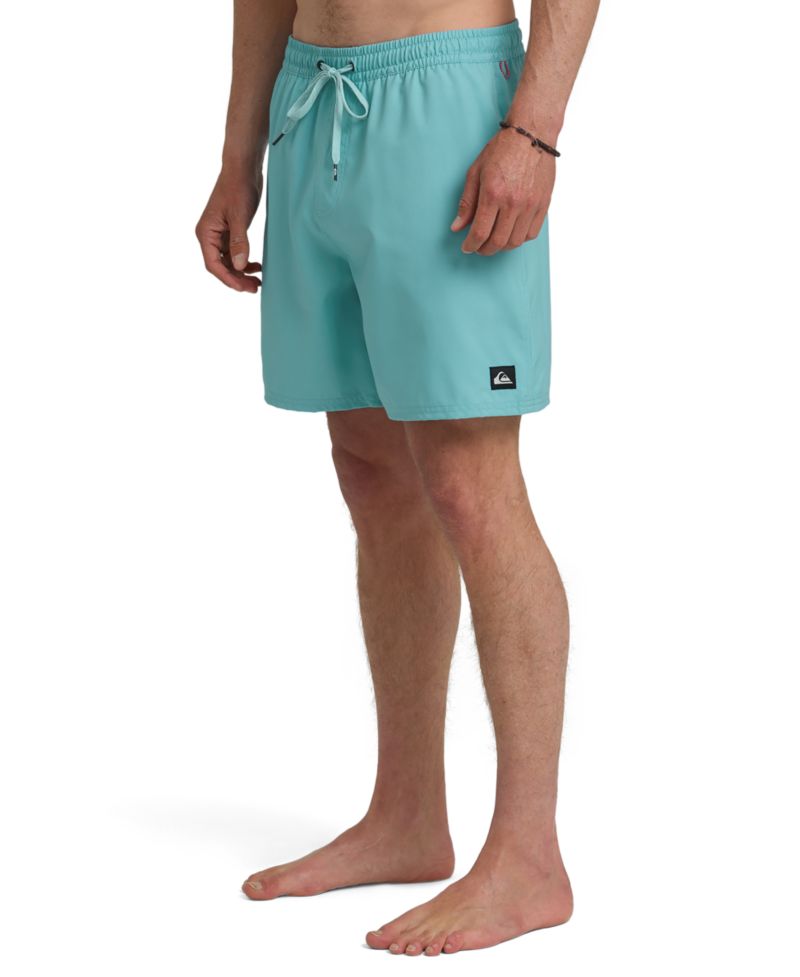 Men's Everyday Swim Shorts