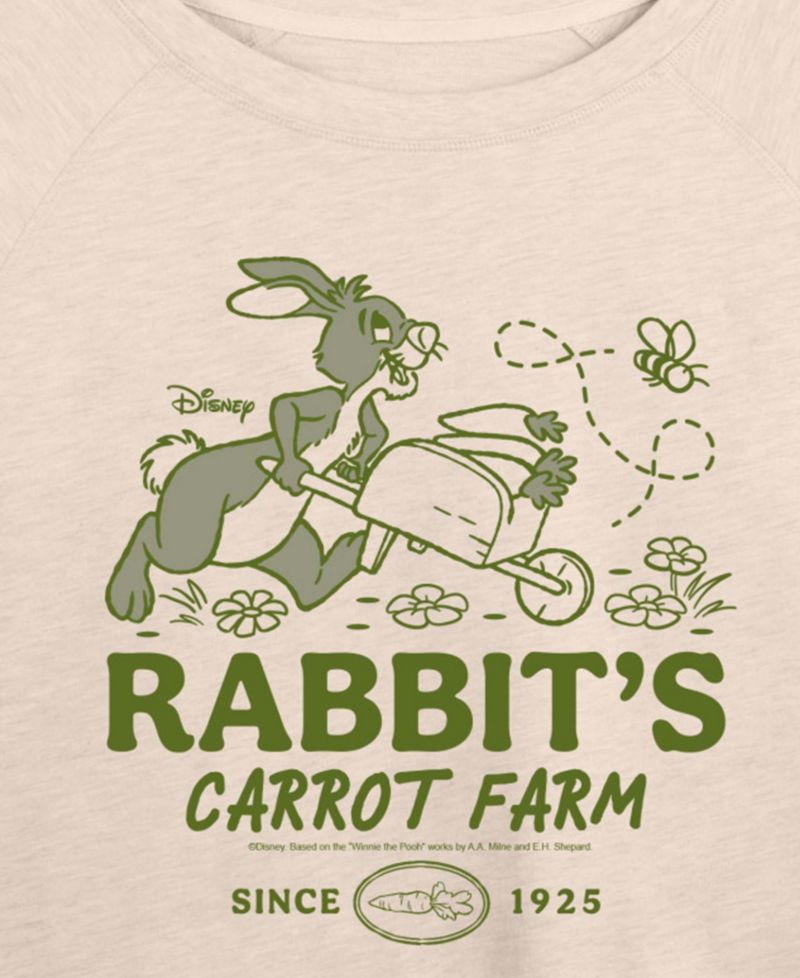 Plus Size Winnie The Pooh Rabbit Carrot Farm French Terry Long-Sleeve T-Shirt