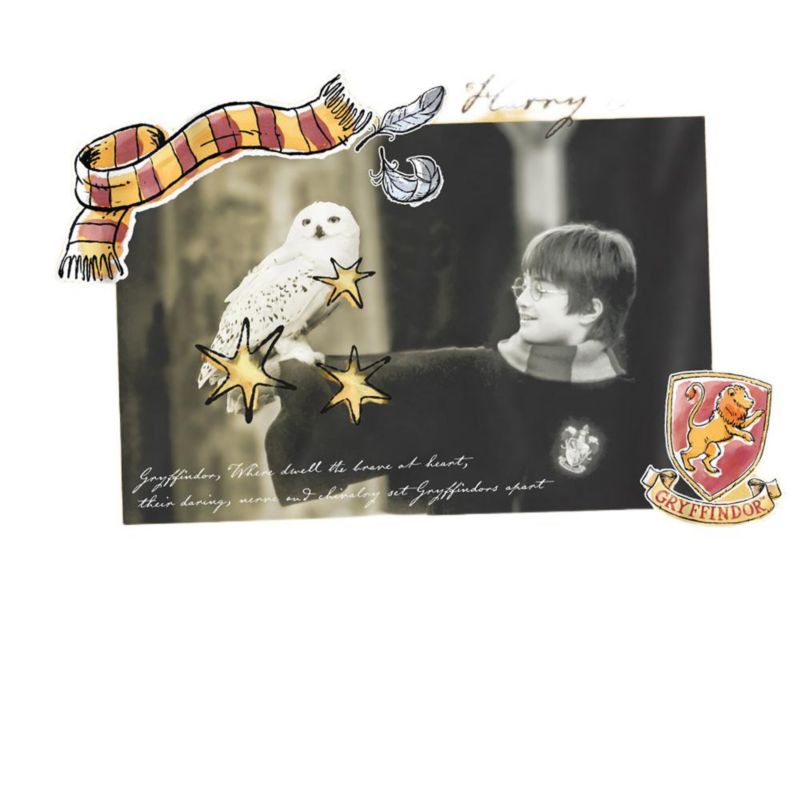 Men's With Hedwig Movie Still T Shirt