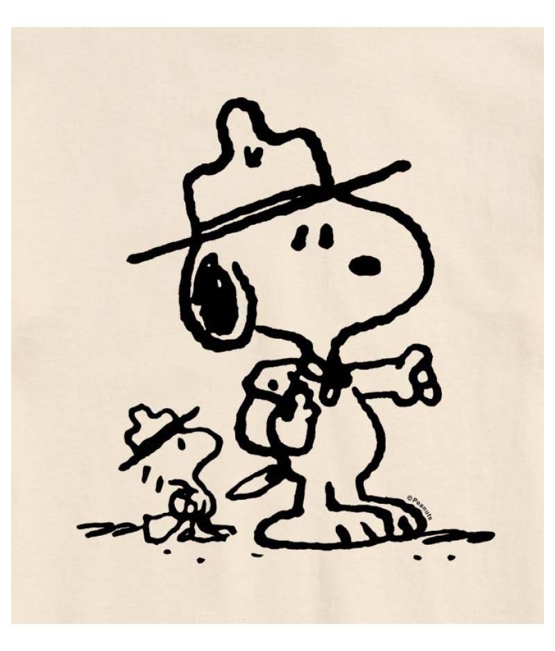 Hybrid Apparel Peanuts Outdoor Mens Short Sleeve Tee