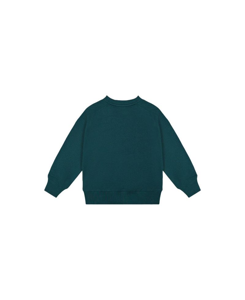 Little and Big Boy (6 - 12) Fleece Sweatshirt Forest