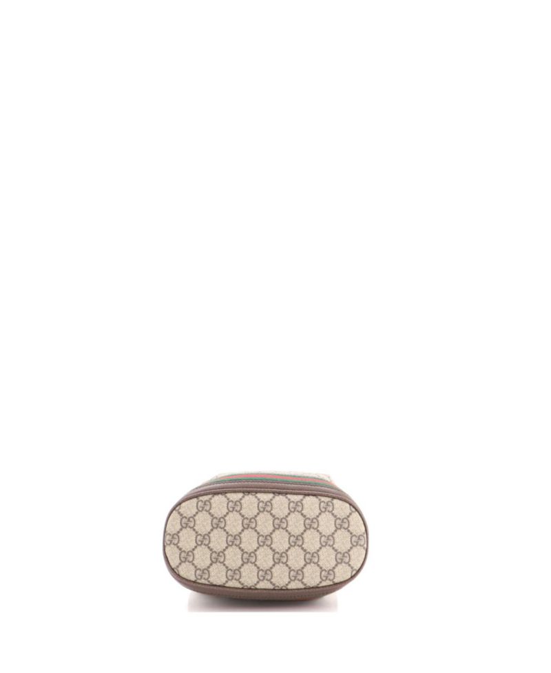 Small Ophidia Bucket Bag GG Coated Canvas