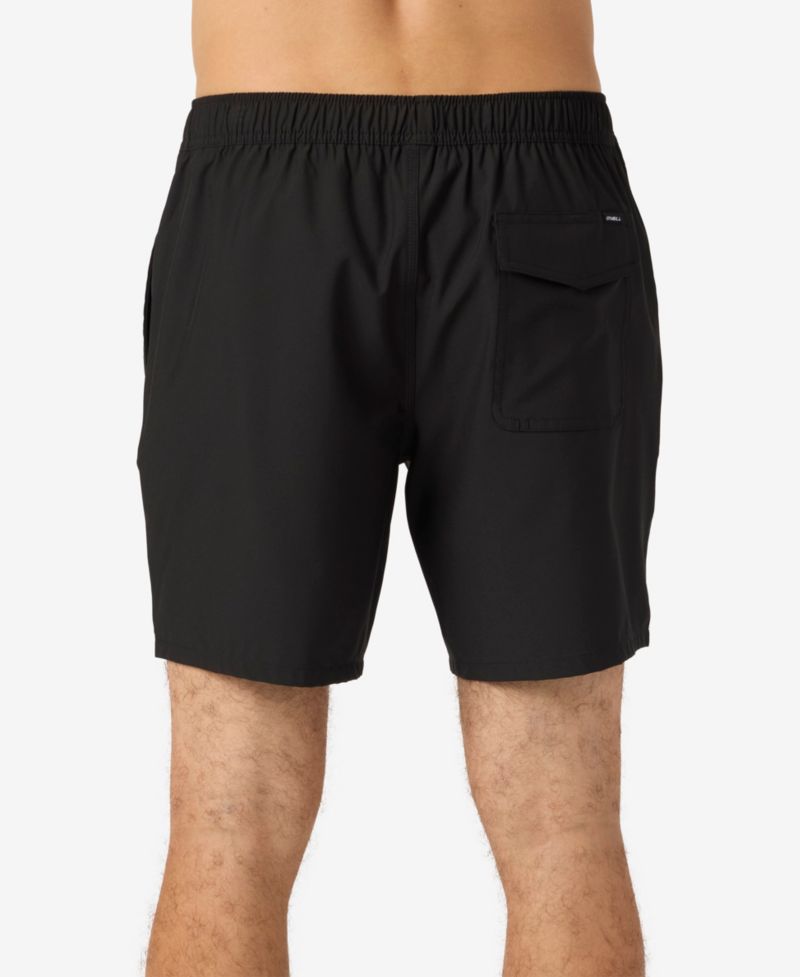 Men's Lennox Hermosa Solid Volley Swim Trunks