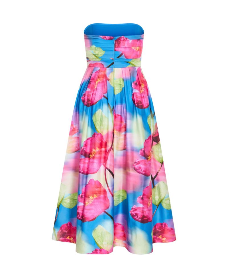 Women's Rosalee Sleeveless Print Maxi Dress
