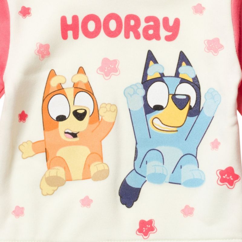 Girls Pullover Hoodie and Fleece Pants Outfit Set