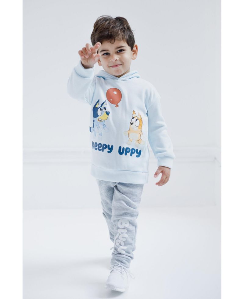 Little Boys Fleece Pullover Hoodie and Pants Outfit Set