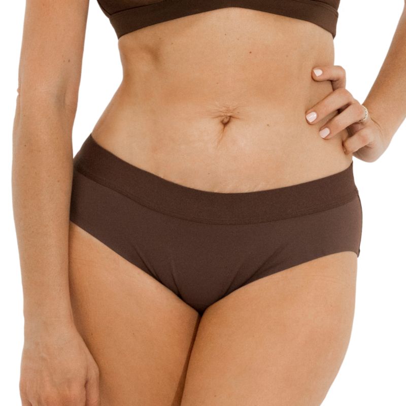 Women's Nude Shade Mesh Hipster Bikini Panty