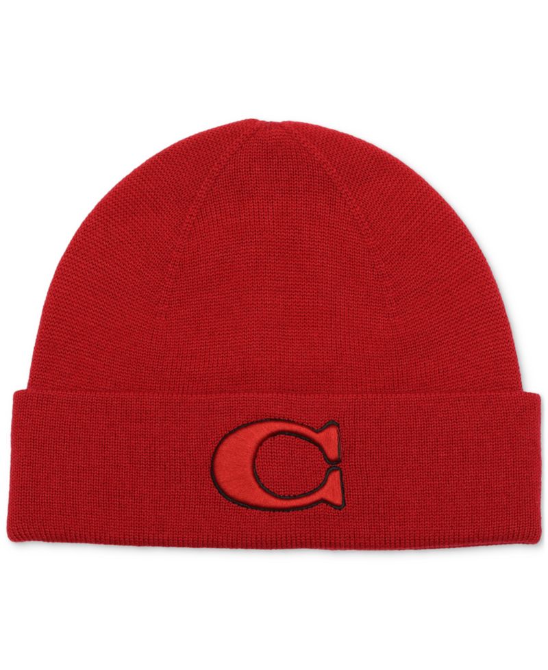 Men's Varsity Logo Beanie