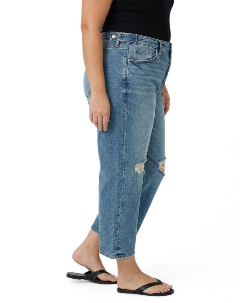 Plus Size High-Rise Straight Ankle Jeans