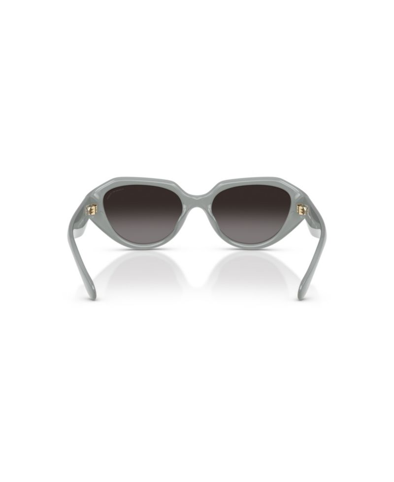 Women's Polarized Sunglasses, CBY77 HC8433U