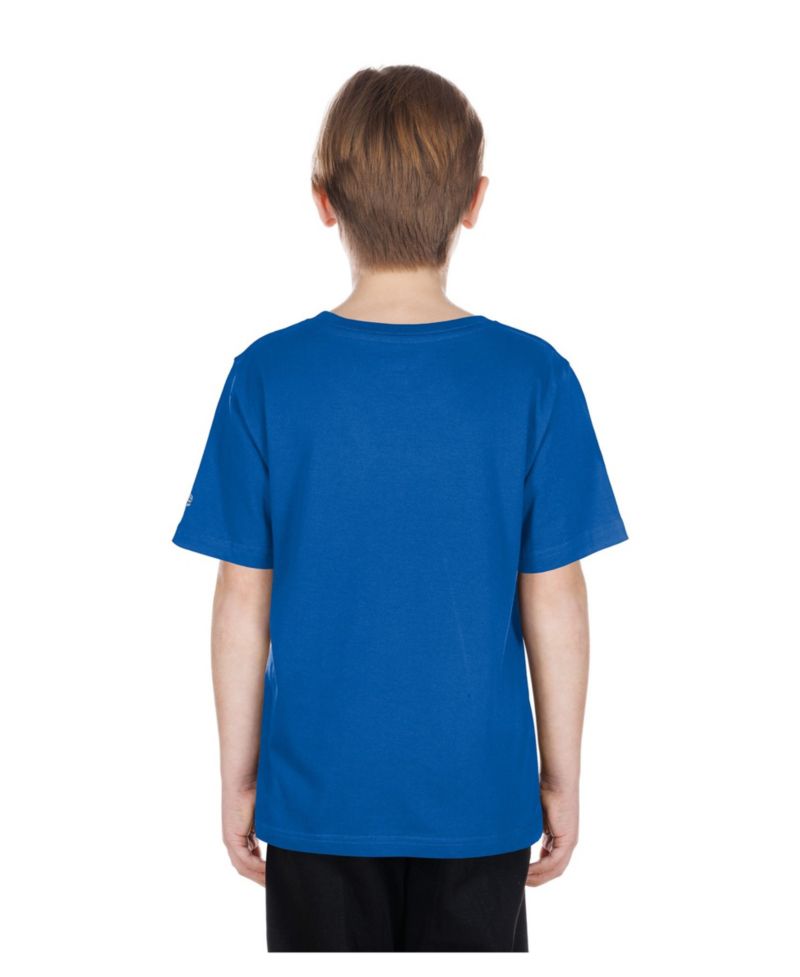 Big Boys and Girls Royal Chicago Cubs Looney Tunes T-Shirt