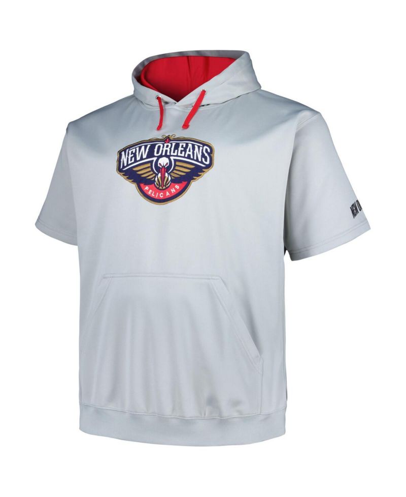 Men's Silver New Orleans Pelicans Big and Tall Logo Pullover Hoodie