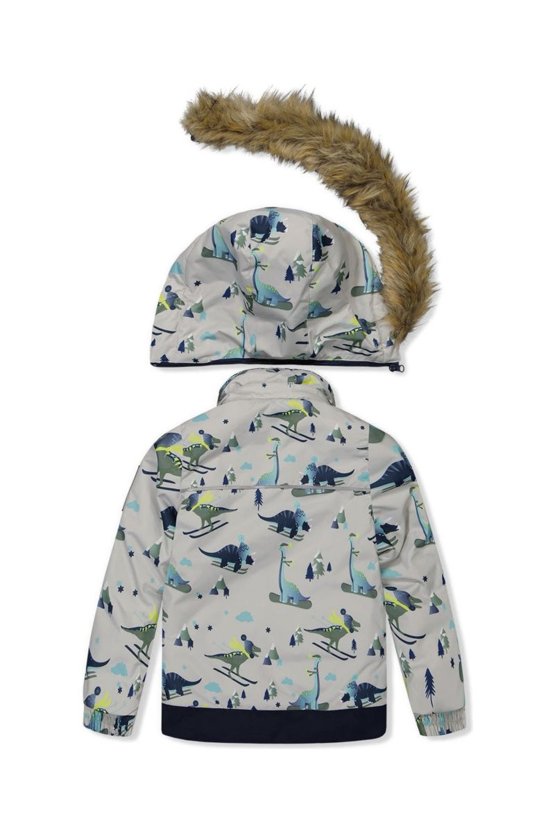 Little Boys 6-8 Two Piece Discover Snowsuit Grey Skiing Dinosaur Print