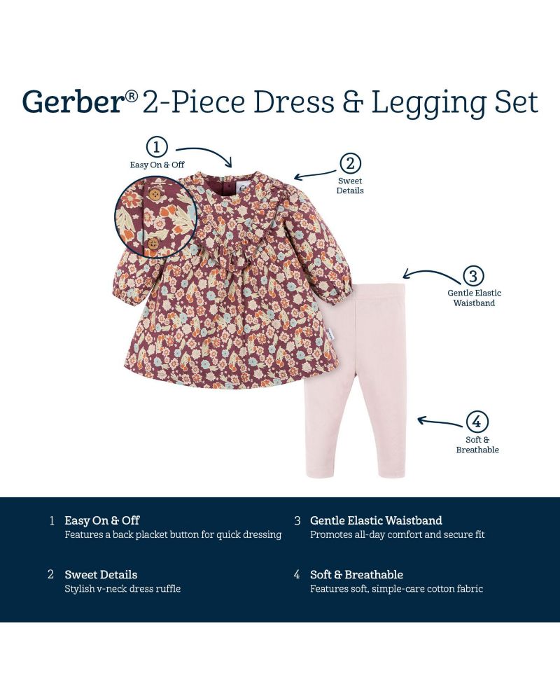 Baby Girls Dress and Legging Set, 2 Piece