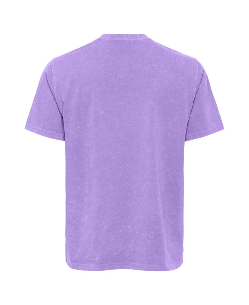 Men's and Women's Violet Golden State Valkyries Mineral Wash T-Shirt