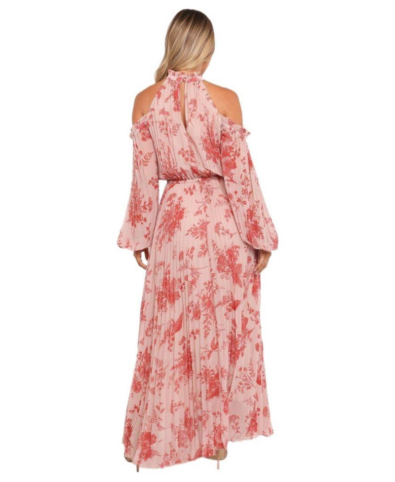 Women's Hilary Pleated Maxi Dress - Red Floral
