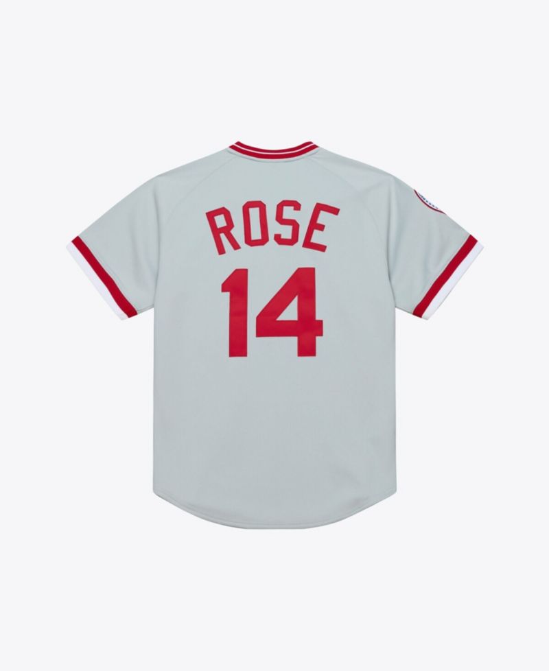 Men's Pete Rose Gray Cincinnati Reds 1976 Authentic Jersey