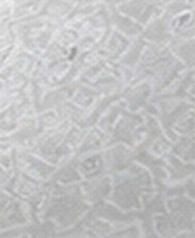 Men's Glitz Medallion Pre-Tied Bow Tie