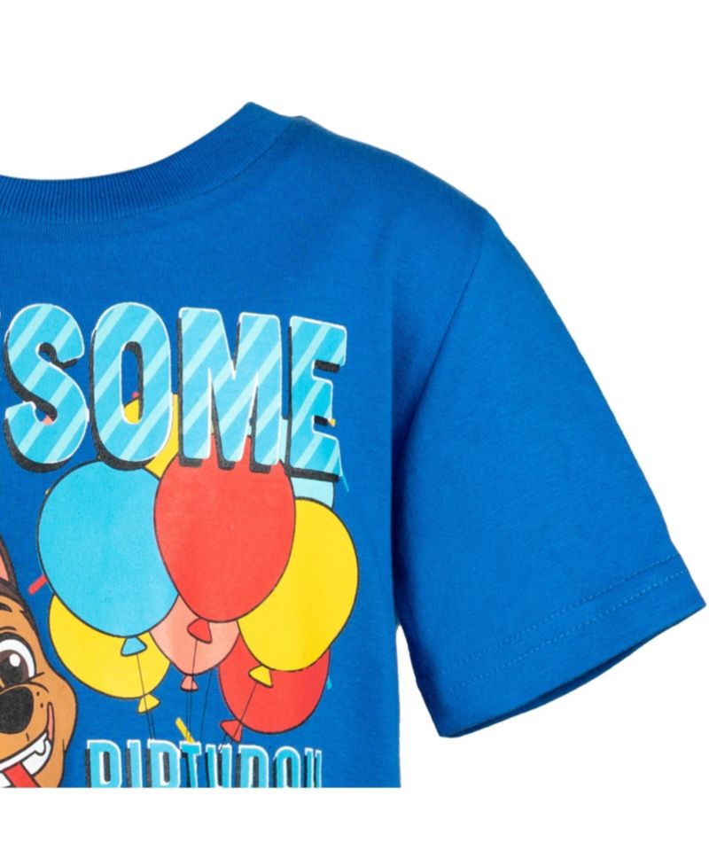 Nickelodeon Chase Birthday Boys Graphic T-Shirt Toddler| Child