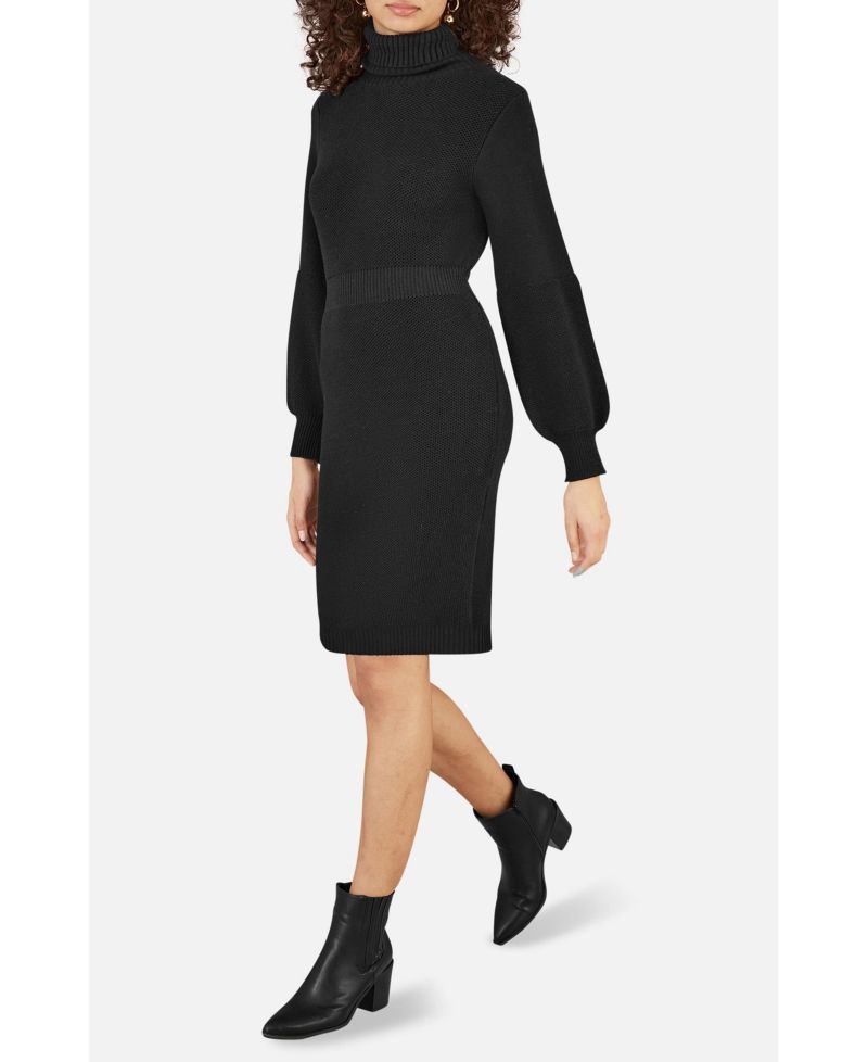 Women's Roll Neck Knitted Dress