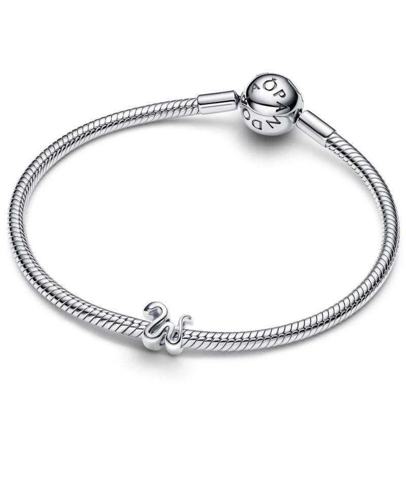 Snake Mini Charm